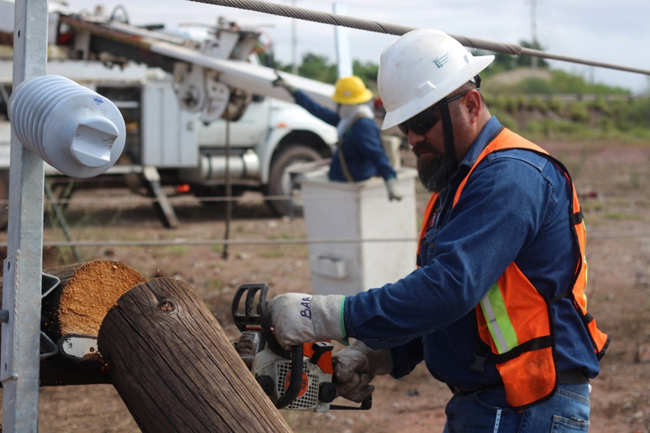 La CFE ha recuperado el suministro eléctrico al 87% de los usuarios afectados por el frente frío número 26 en Baja California, Durango y Chihuahua