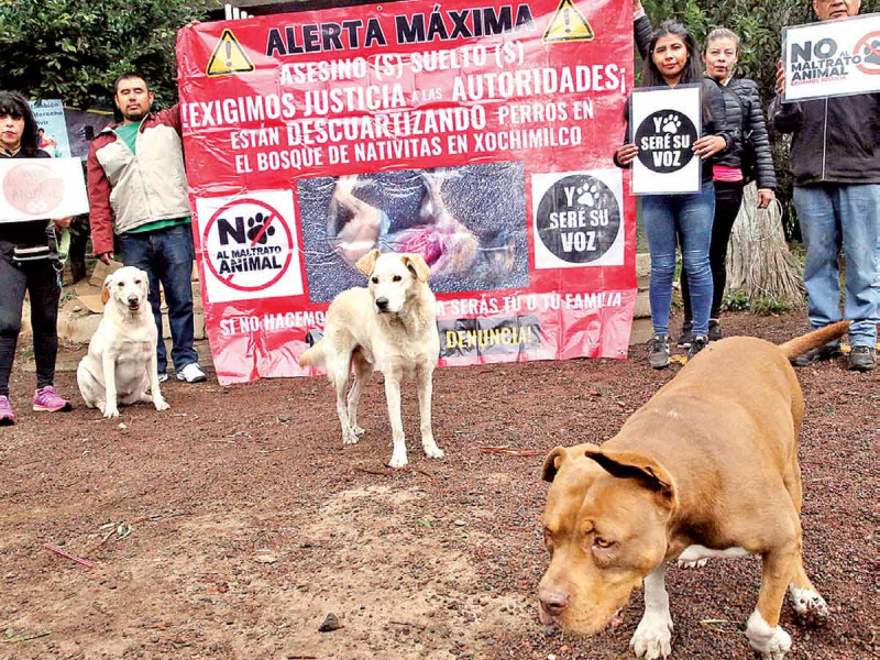 Advierten posibles casos de santería y maltrato animal en Bosque de Nativitas: Xochimilco