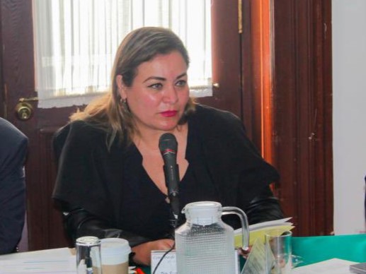 Busca Elizabeth Mateo ser Coordinadora de los Comités de Defensa de la 4T en Iztacalco