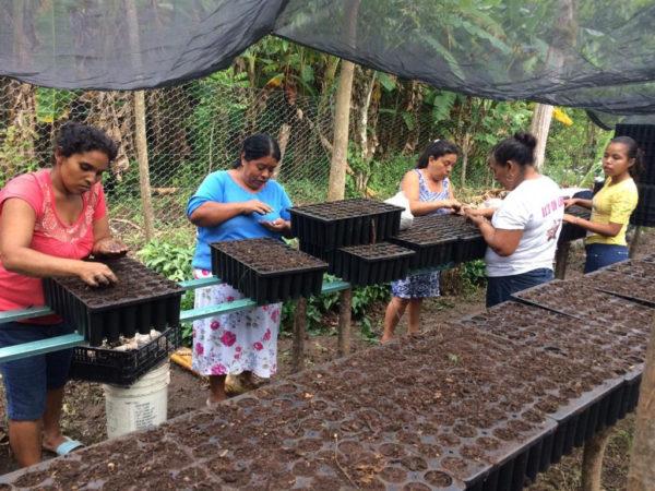 Redes comunitarias implementan soluciones para combatir el cambio climático