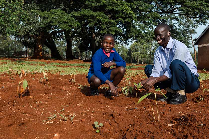 Kenia podría plantar 15 millones de árboles para el 2023