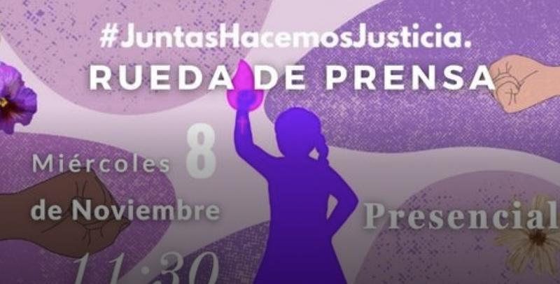 El 25N marcharán 3 mil siluetas de los feminicidios ante la negligencia del poder judicial