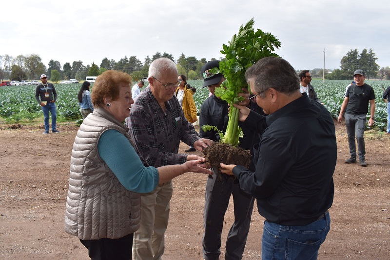 Manejo regenerativo de suelo: productividad agrícola en la dirección correcta