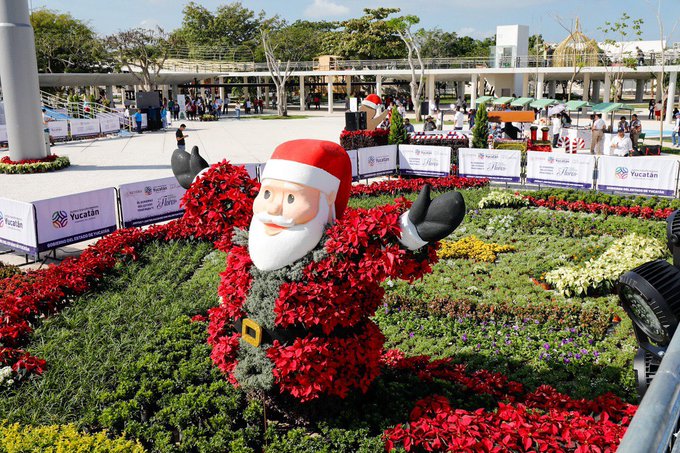 Paseo Navideño de las Flores, el nuevo atractivo de la temporada en Mérida