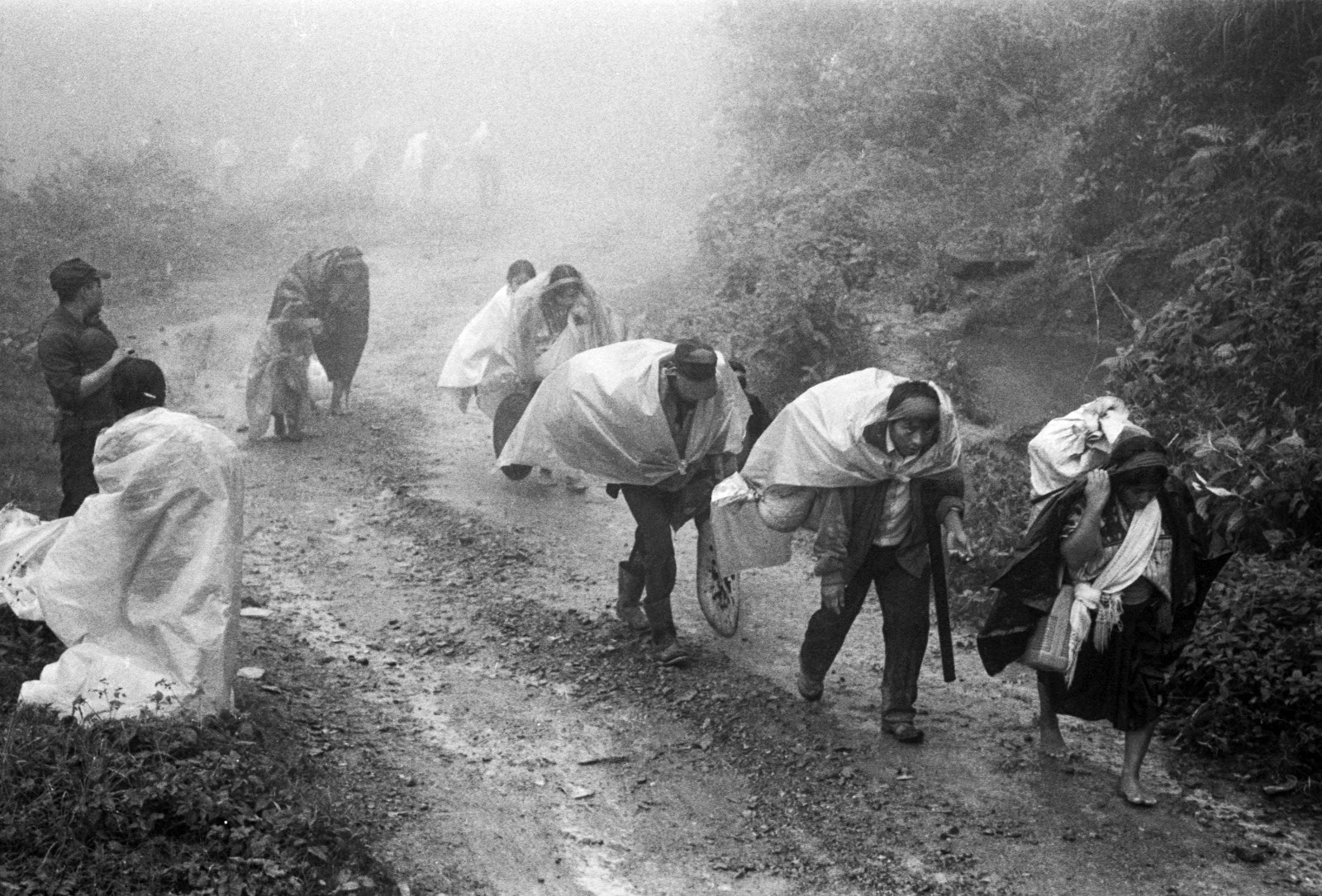 Exposición “Los Motivos de la Selva”: 30 años del levantamiento zapatista en el Colegio de San Ildefonso