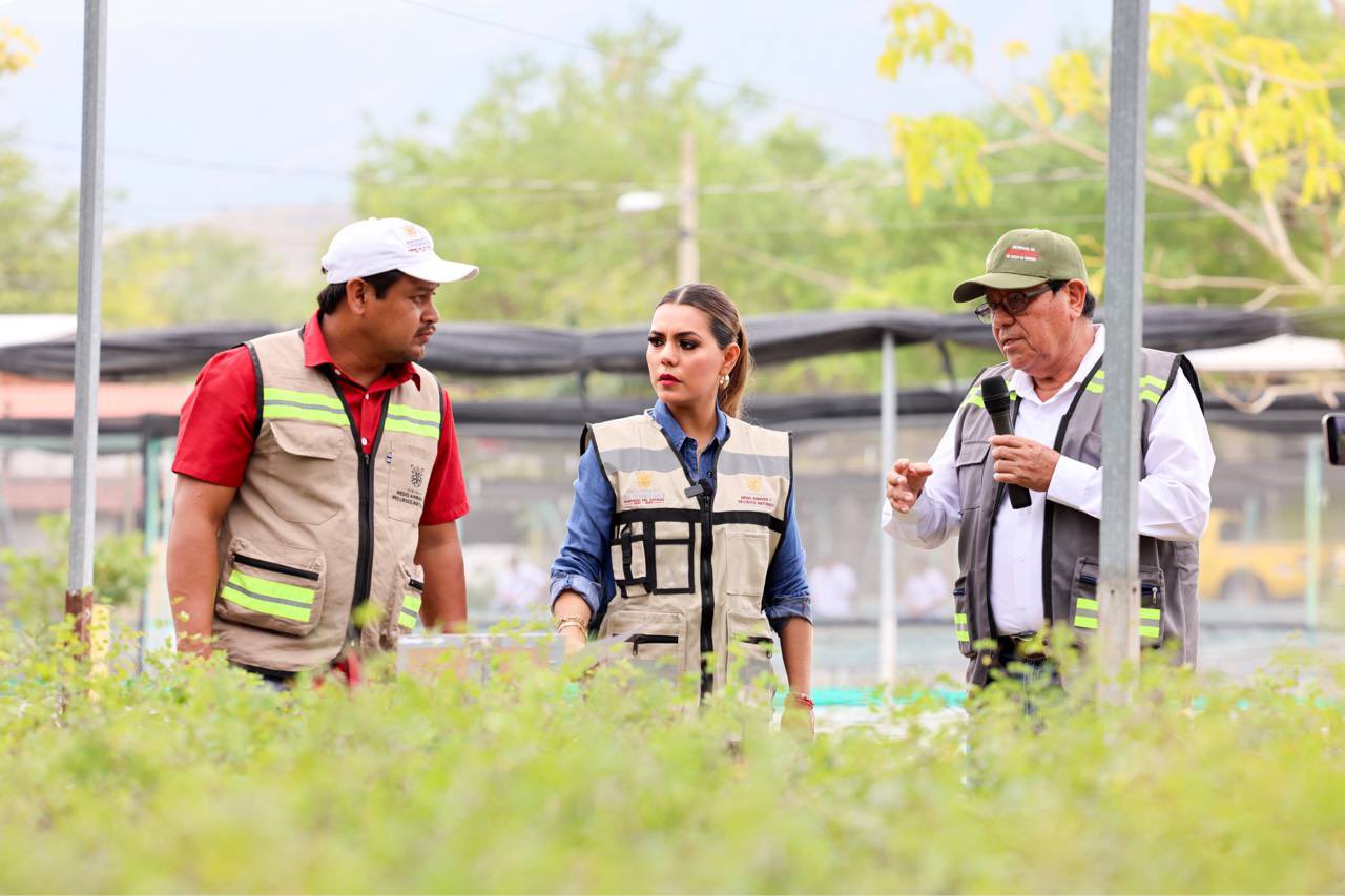 Gobernadora Evelyn Salgado anuncia ambiciosa campaña de reforestación en Guerrero