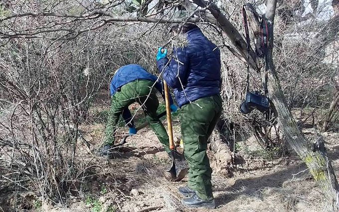 Hallan fosa clandestina con al menos 10 cuerpos en Zacatecas