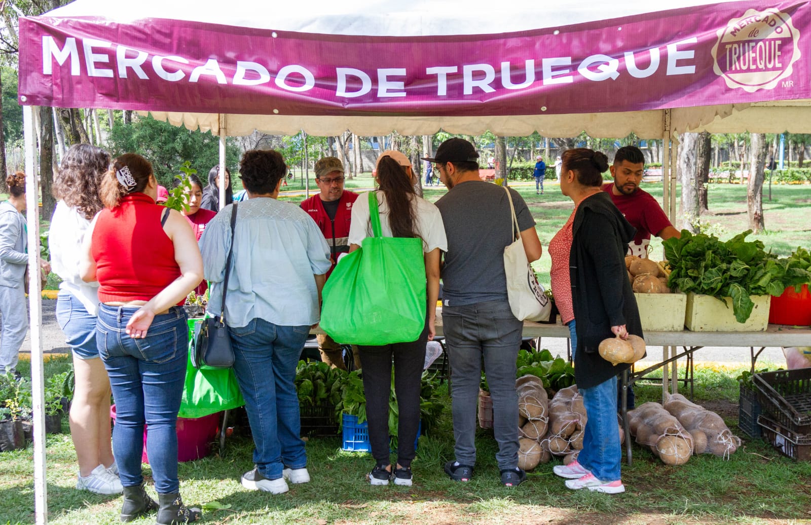 Mercado de Trueque recibe árboles y flores para su reciclaje responsable
