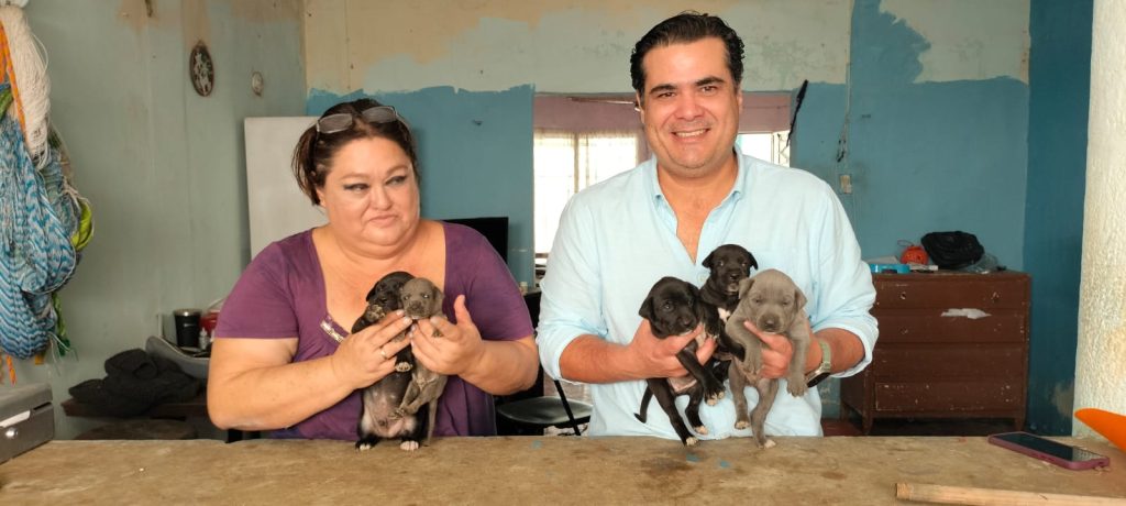 Ponen en adopción a ‘perritos sagrados de Kukulkán’