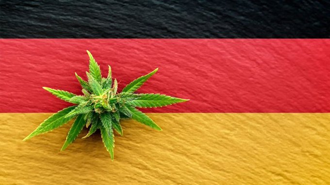 Alemania legaliza el uso recreativo de la cannabis