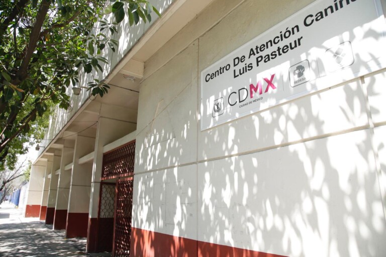 CDMX ofrece servicios de salud animal gratuitos en el Centro de Atención Canina “Luis Pasteur