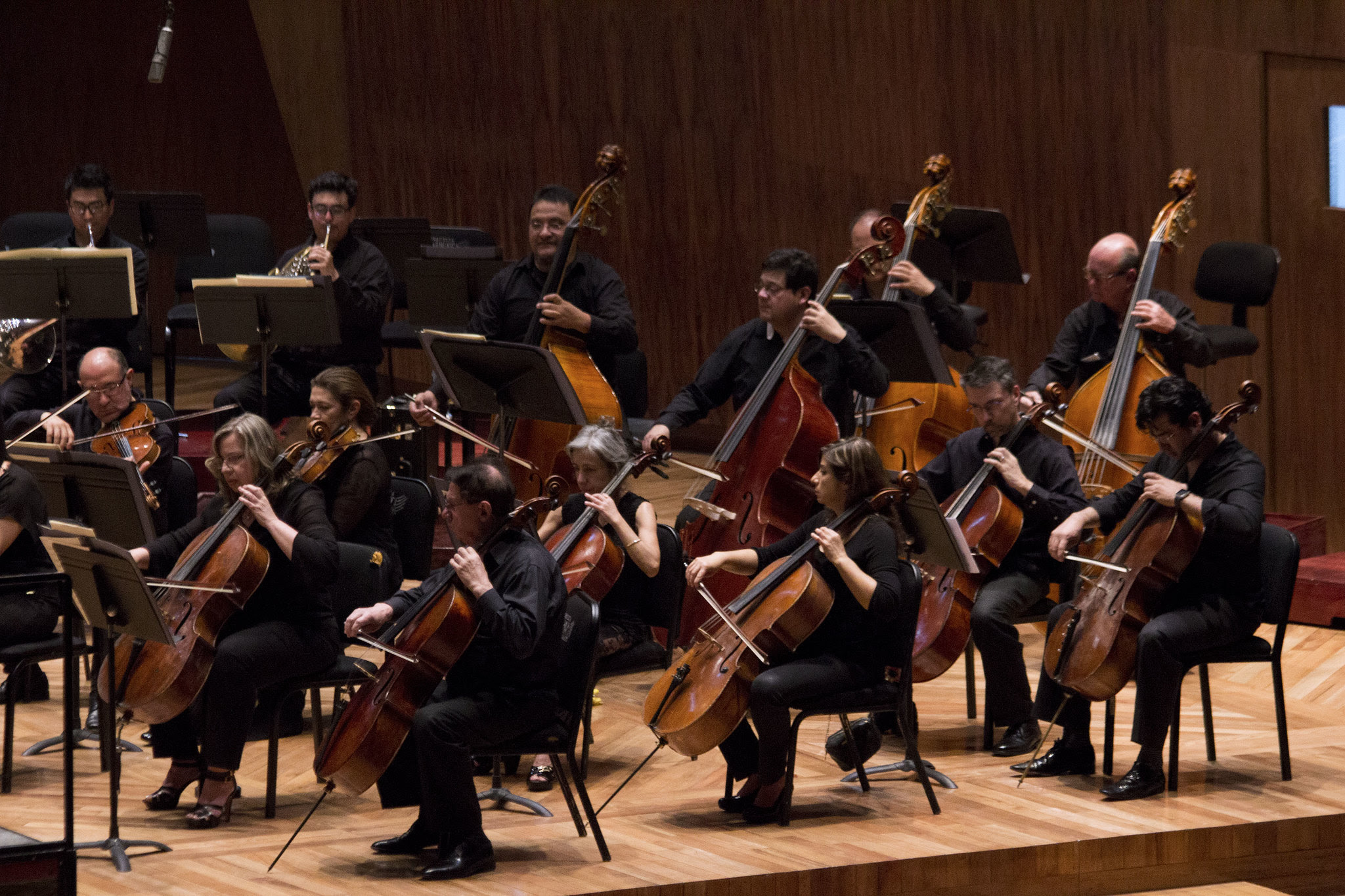 Orquesta Filarmónica de la Ciudad de México retoma conciertos de su Primera Temporada de 2024