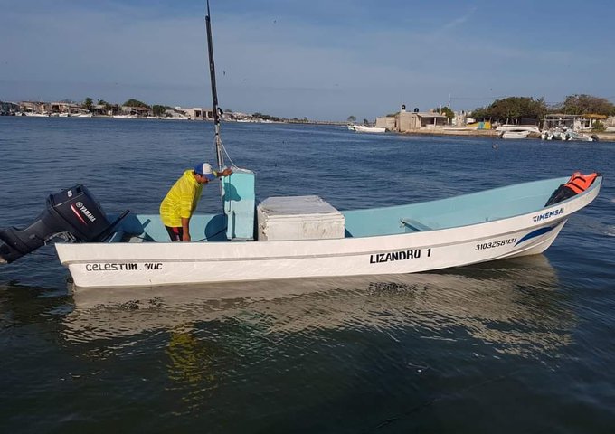 Reportan desaparición de cinco pescadores en Celestún, Yucatán