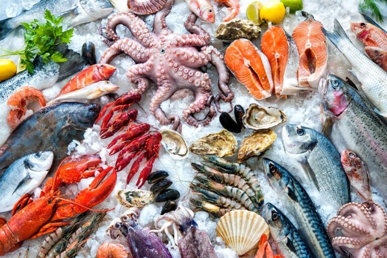 Temporada de cuaresma impulsa economía en la Ciudad de México con ventas de pescados y mariscos