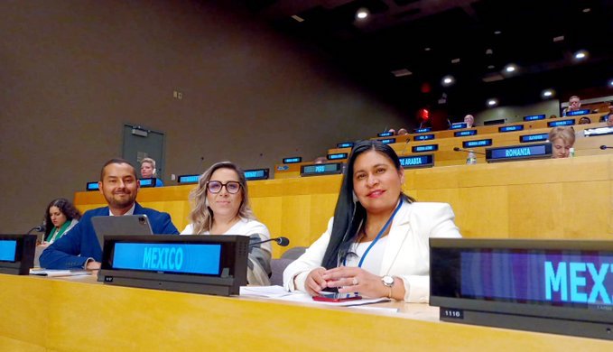En la ONU, Senadora Ana Lilia Rivera demanda acciones para alcanzar la paz y seguridad global