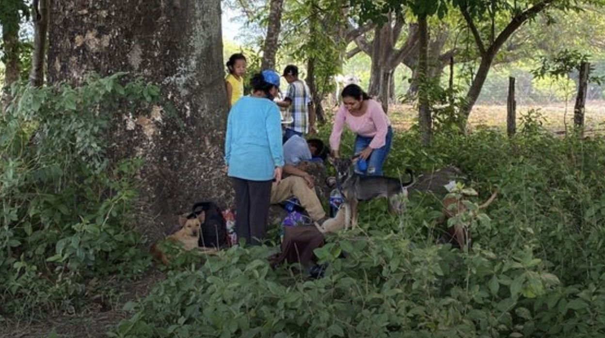 Gobierno niega conflicto armado en Chiapas, mientras violencia exacerba crisis humanitaria