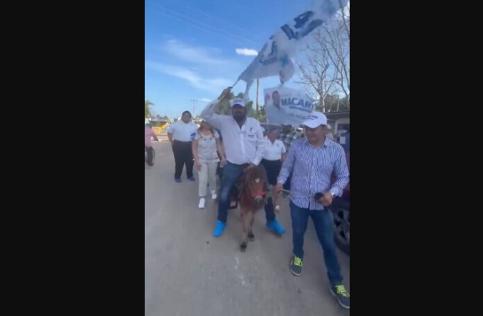 Critican a candidato del PAN por montar un poni en Yucatán