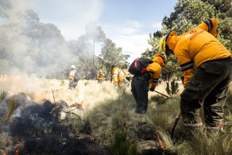 Piden programa especial para apoyar a brigadistas que combaten incendios forestales