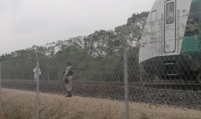 Tren Maya arrolla a dos migrantes en Palenque, Chiapas; uno falleció