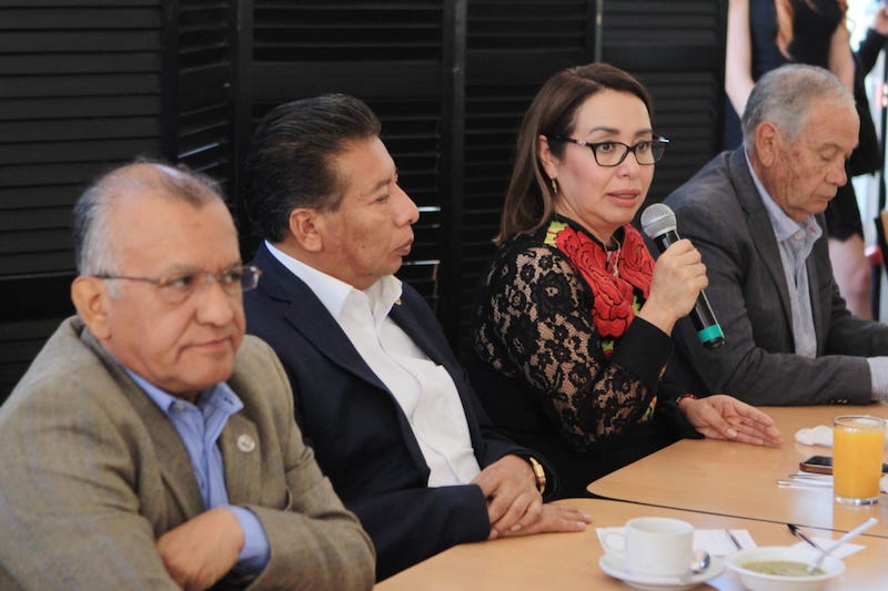 PRIAN no tiene propuestas creíbles para Ecatepec: Azucena Cisneros