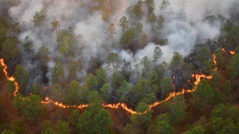 Piden que Semarnat informe sobre acciones para reducir y controlar incendios forestales