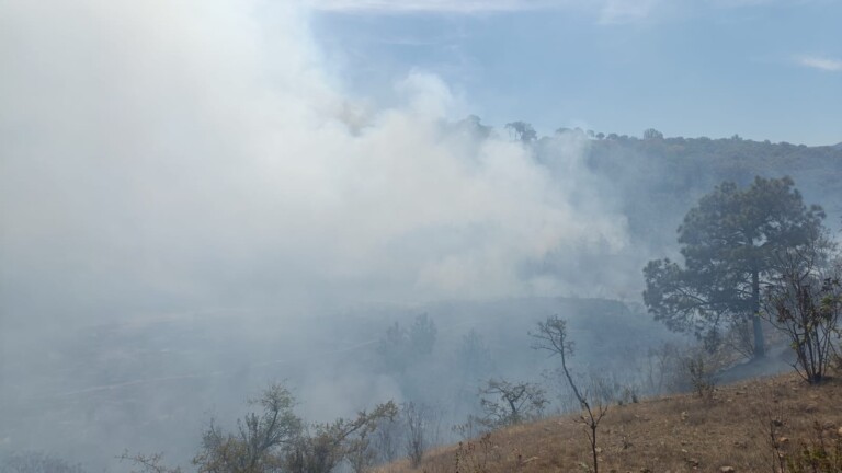 Conafor registra 25 incendios forestales