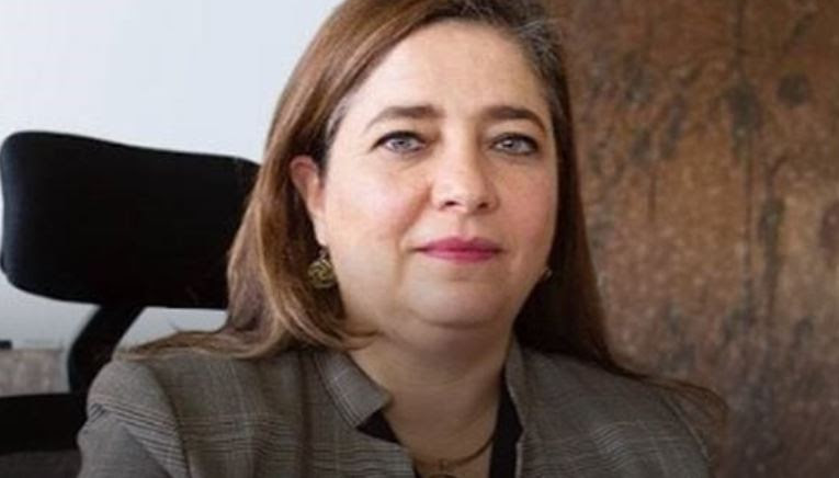 El Consejo Universitario designó a la reconocida demógrafa Silvia Elena Giorguli Saucedo como integrante de la Junta de Gobierno de la UNAM