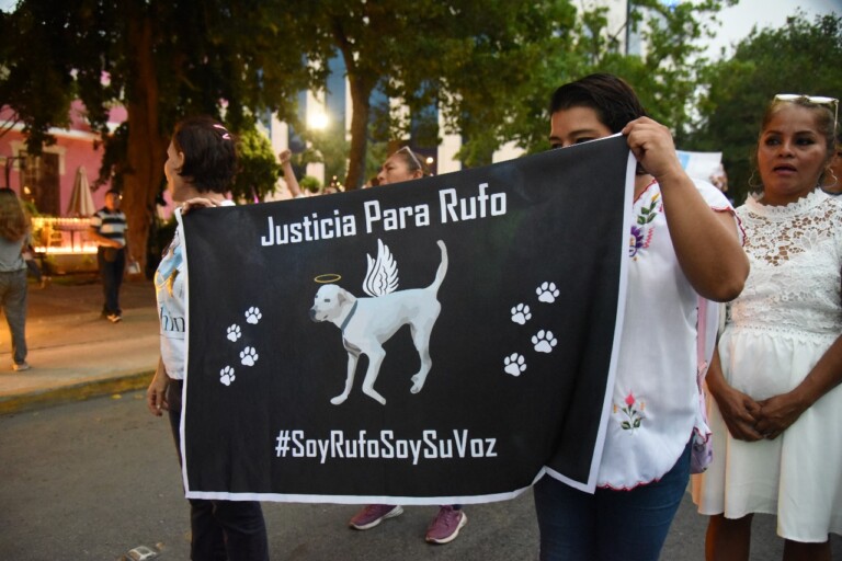 Condenan a la primera persona por crueldad animal en Yucatán