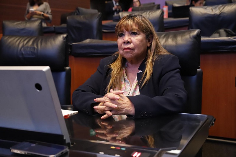 Obligación de contadores de informar sobre delitos fiscales, los expone a sanciones injustas: senadora María Graciela Gaitán
