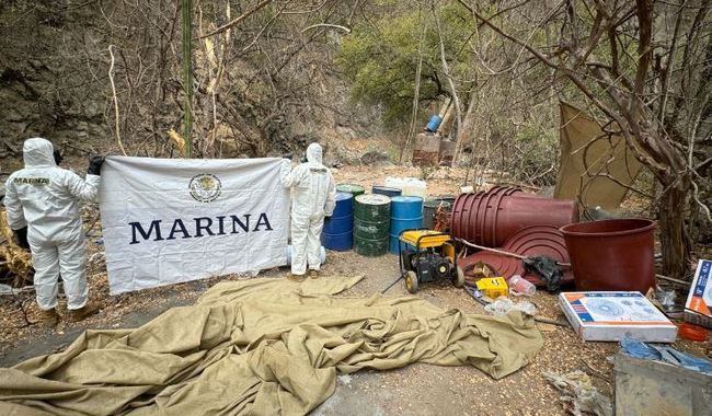 Marina localiza y desmantela ocho laboratorios clandestinos en Sinaloa