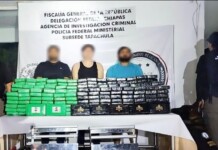 Aseguran 350 kilos de cocaína en Tapachula, Chiapas