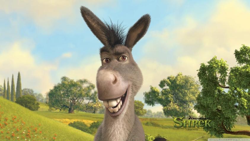 DreamWorks Shrek 5 spin-off Burro