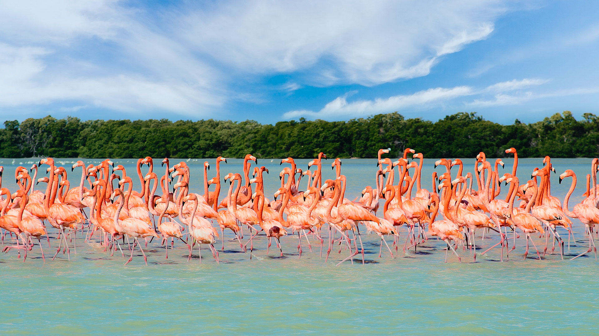 Yucatán, con un crecimiento turístico sostenible y constante