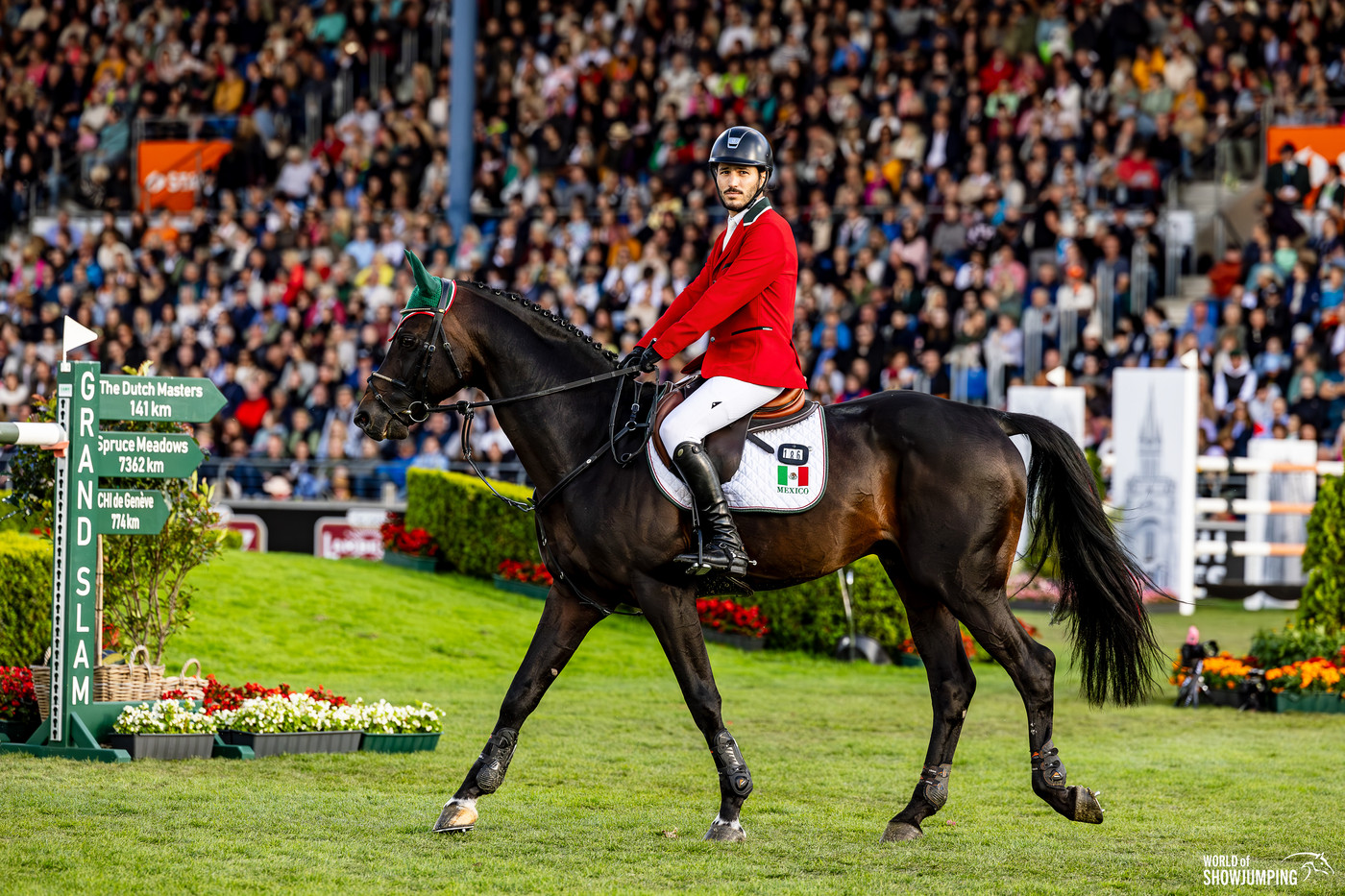 Equipo Nacional de Salto Ecuestre se prepara en Bélgica para los Juegos Olímpicos París 2024