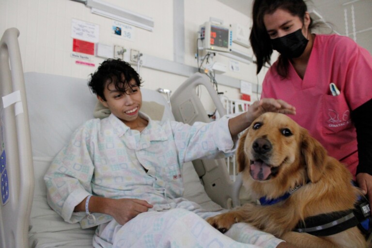 Hospital Pediátrico Coyoacán transforma la experiencia médica con terapias asistidas con perros