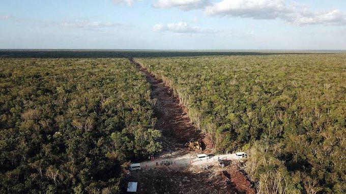 Tren Maya devastó la selva; se perdieron más de 6 mil hectáreas, según estudio