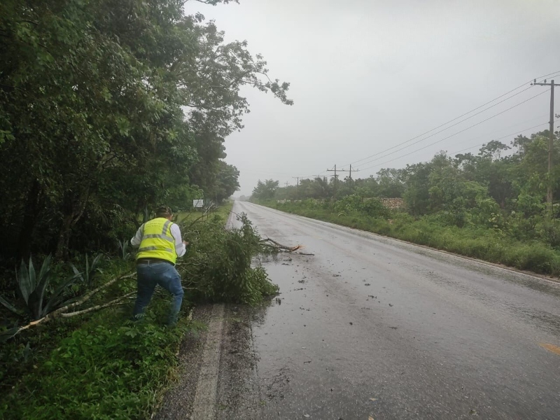 Ante efectos de la tormenta tropical Carlota, SICT depeja carreteras y caminos afectados