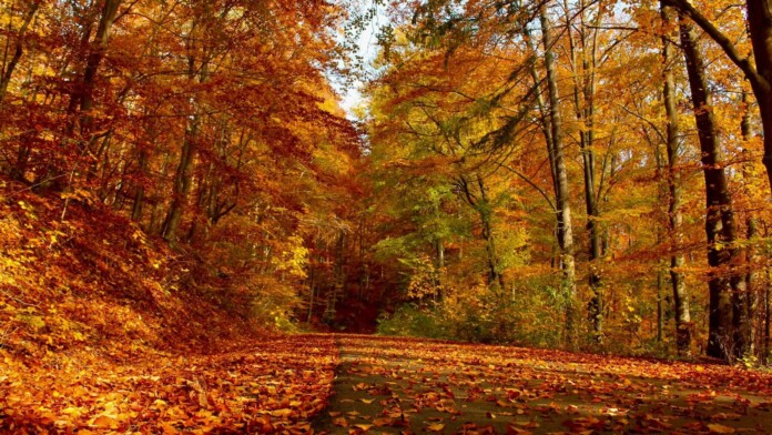 Equinoccio de otoño México inicio