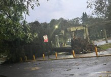 Suspenden clases en la FES Acatlán tras fuertes lluvias