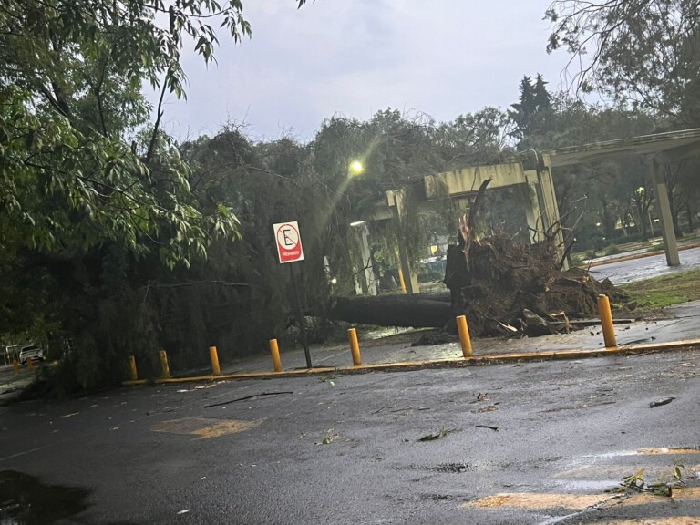 Suspenden clases en la FES Acatlán tras fuertes lluvias