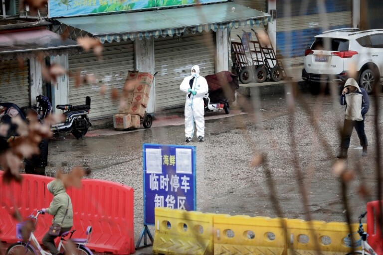 Covid-19 sí habría surgido desde el mercado de Huanan, en China, según estudio