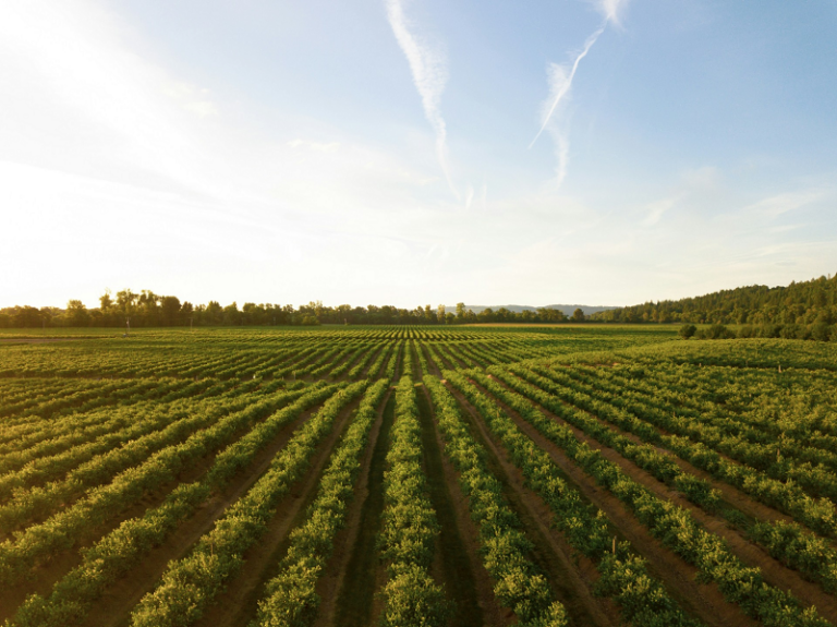 Industria agroalimentaria del país reporta un cumplimiento de 71.4% en los Objetivos de Desarrollo Sostenible: CONAFAB