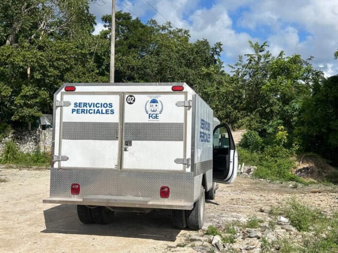 Hallan dos cuerpos en brecha de la carretera Cancún-Mérida