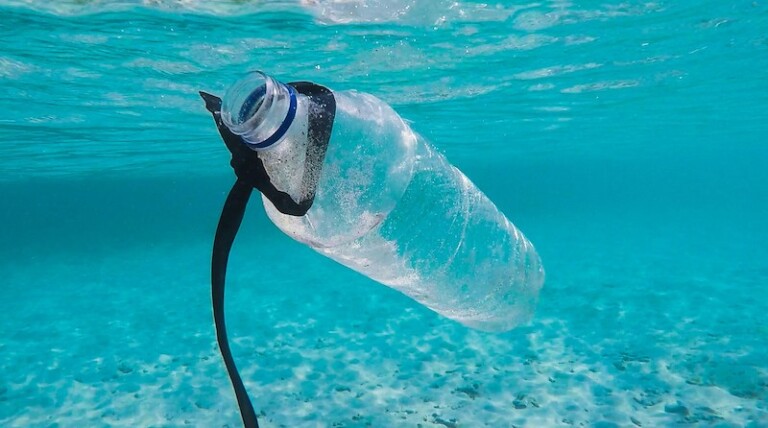 Microplásticos en el agua, ¿qué estamos bebiendo?