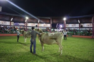 Cancelan la ‘Expo Ganadera 2024‘ por la inseguridad en Sinaloa