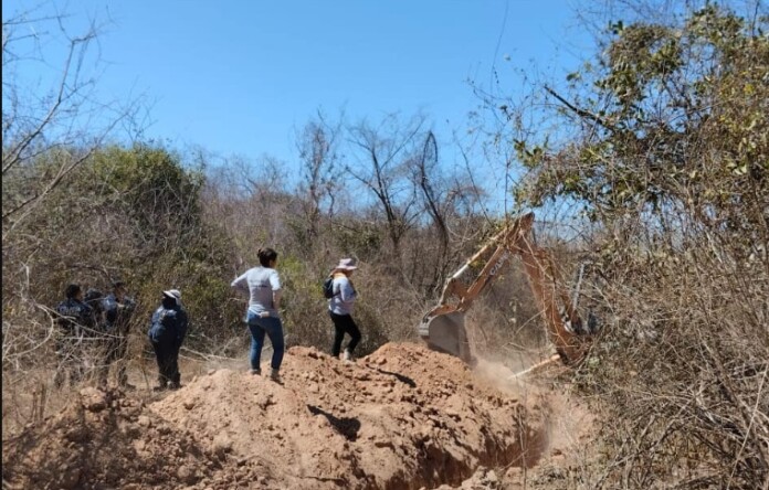 Hallan cinco cuerpos en fosas clandestinas en Mazatlán