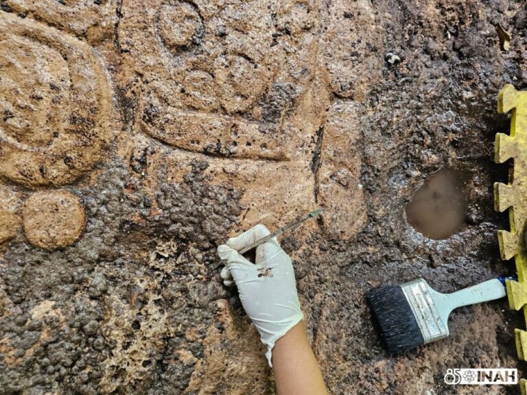 Realizan labores de conservación en la “Roca de la fundación”, jeroglífico maya recién descubierto en Cobá, QRoo