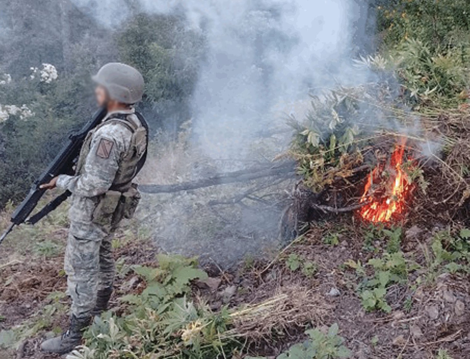 En acciones coordinadas del Gabinete de Seguridad se llevaron a cabo detenciones, cateos, aseguramientos de armas de fuego y de distintos tipos de droga