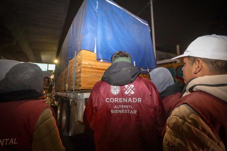 Aseguran madera transportada de manera irregular en operativo conjunto contra tala ilegal