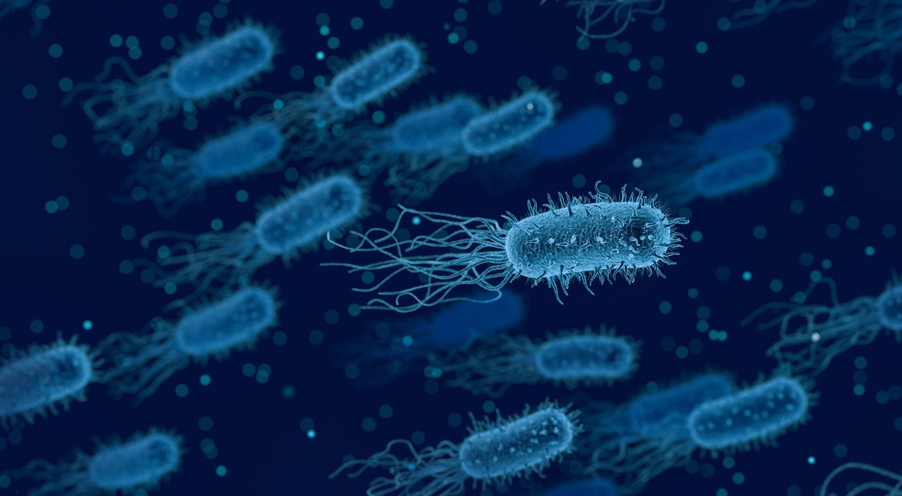 Bacteria klebsiella oxytoca. Imagen ilustrativa.